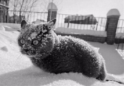 Фото: mvestnik.ru