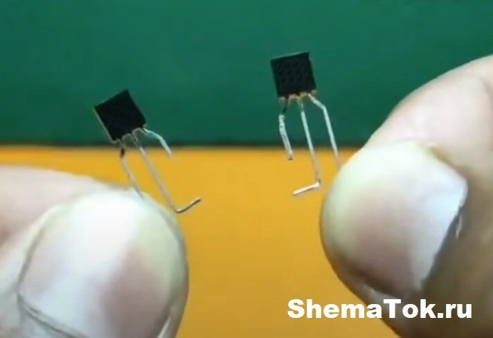 Фото автора 