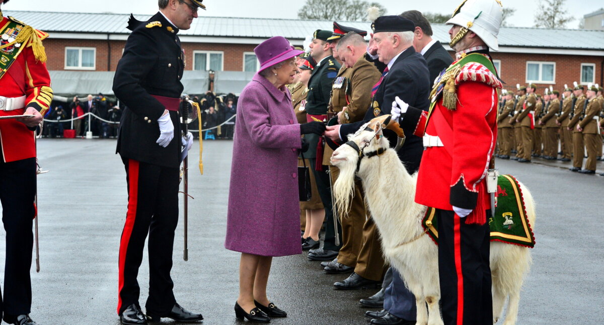 Яндекс картинки