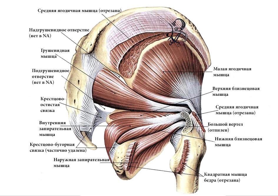 Латеральная стенка четырехстороннего отверстия