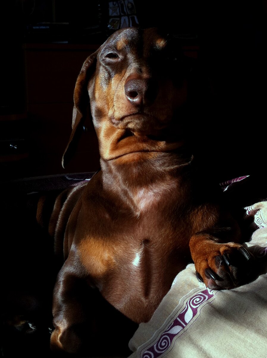 На этом фото это, действительно, граф Жоффрей в полном расцвете сил. Просто Царь!