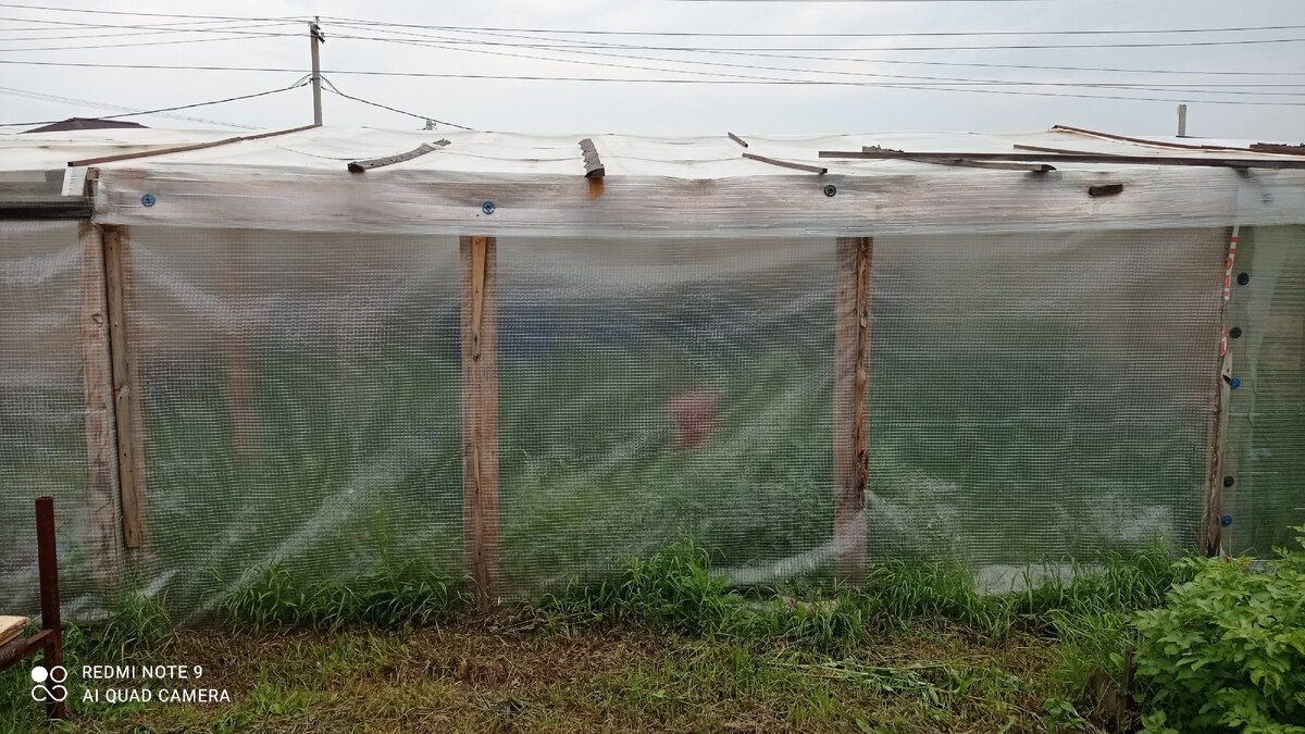 Все заросло , но из песни слов не выкинешь)