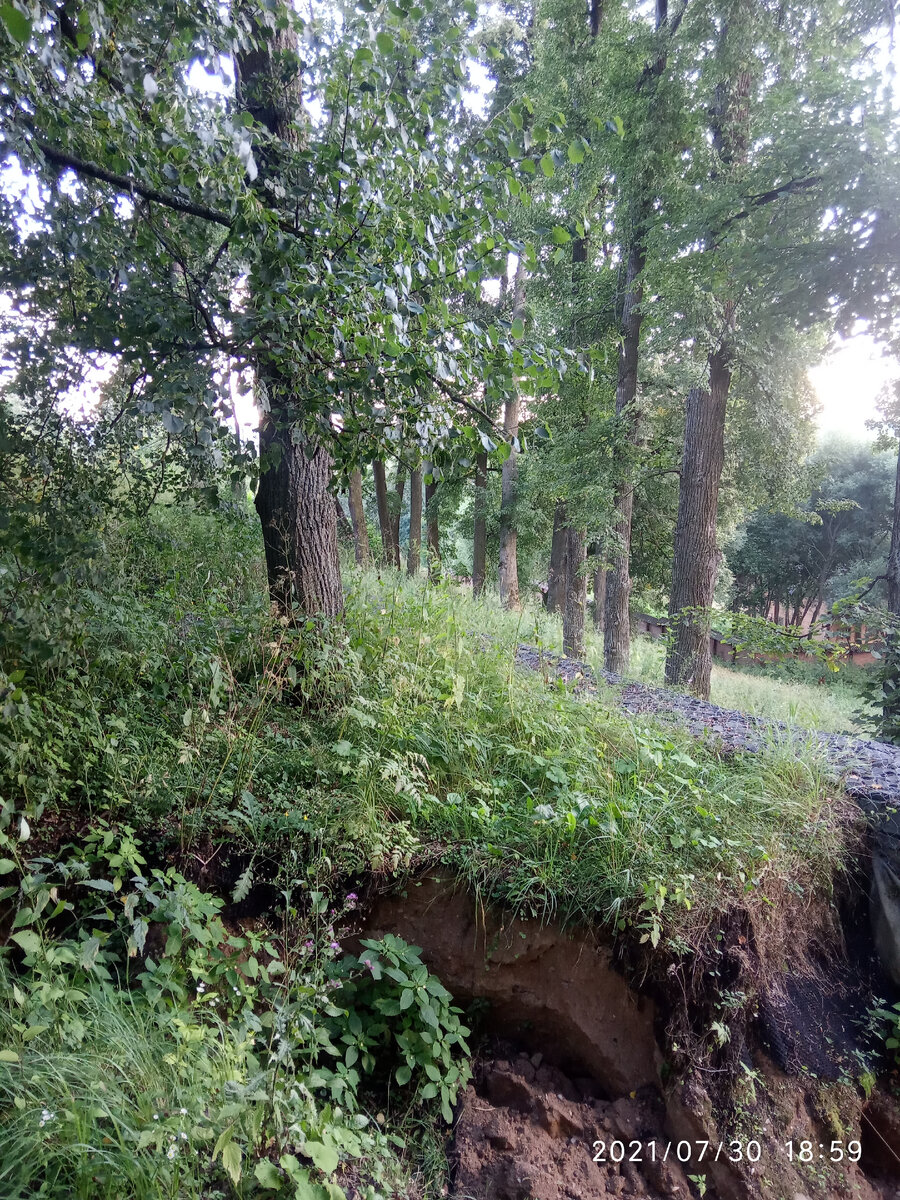 Перепады высот в лесу