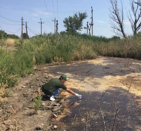 Источник фото: Росприроднадзор