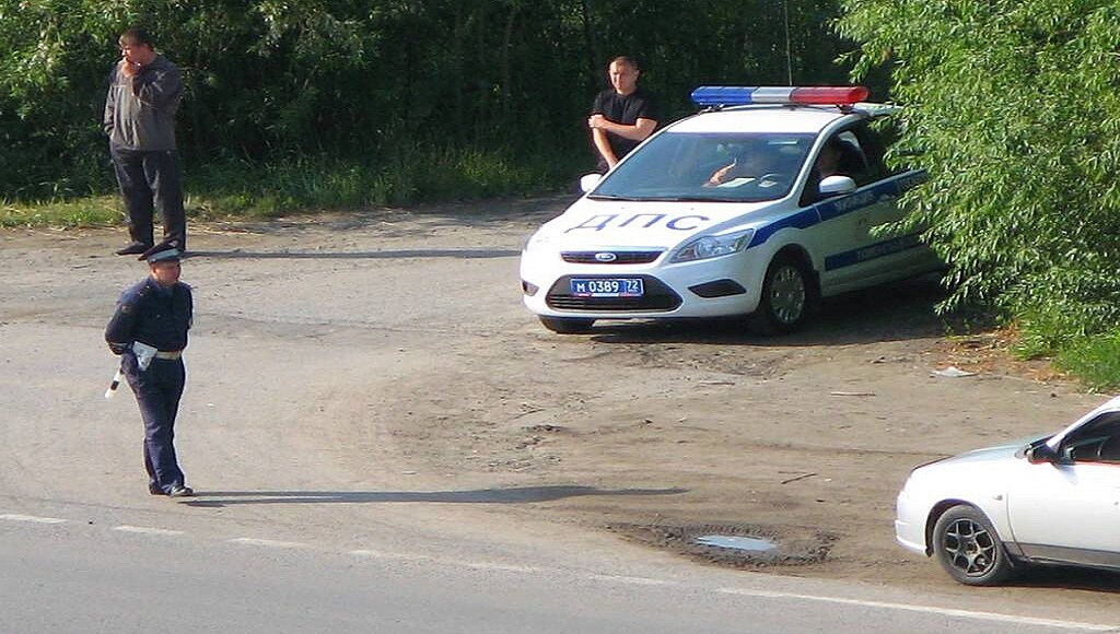 Автомобиль ДПС спрятан в кустах - это повод для водителя не останавливаться. Фото с сервиса Яндекс.Картинки