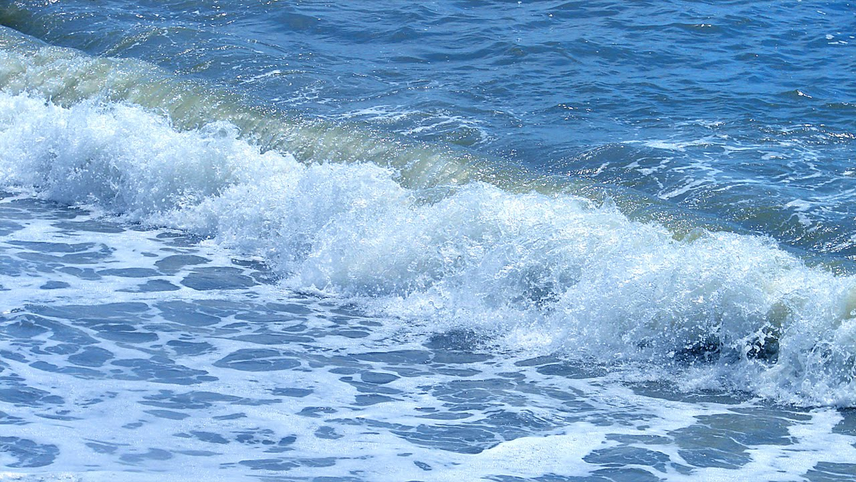 Фото из открытого источника.