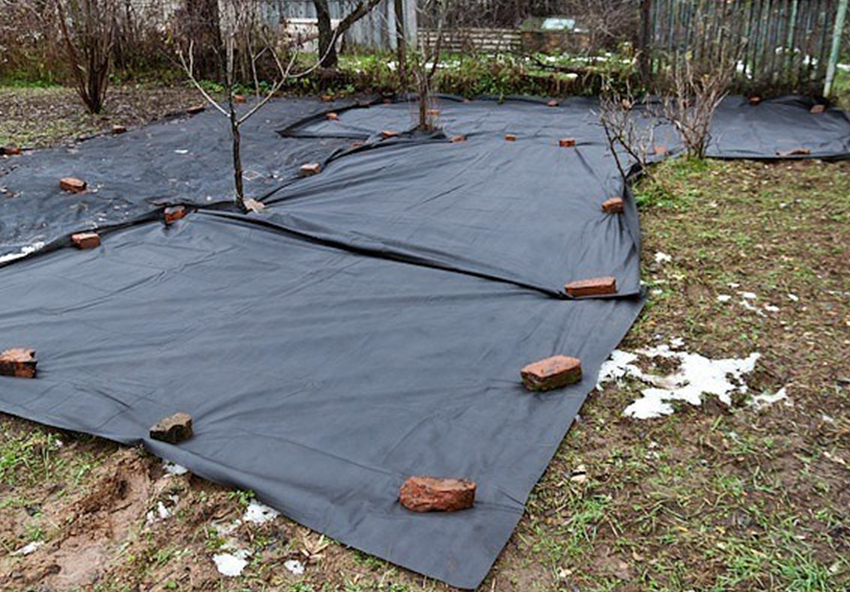 Спанбонд – современный укрывной материал. Фото с https://m.ok.ru/