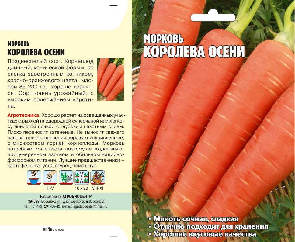 Морковь "Королева осени": описание сорта, фото, отзывы