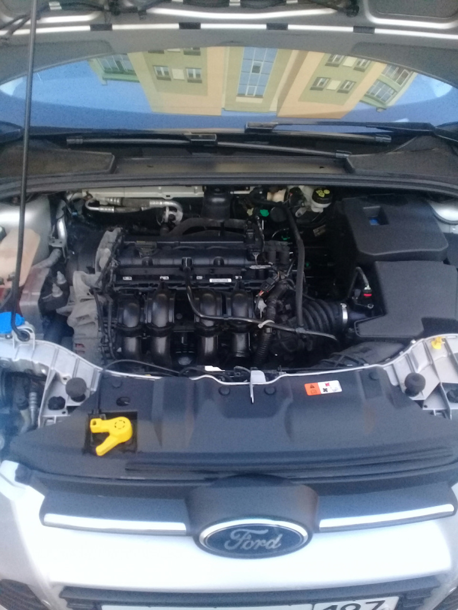 Чистенький