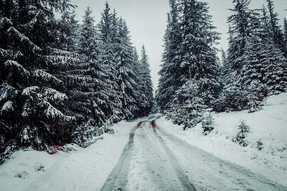 Фото — pixabay.com