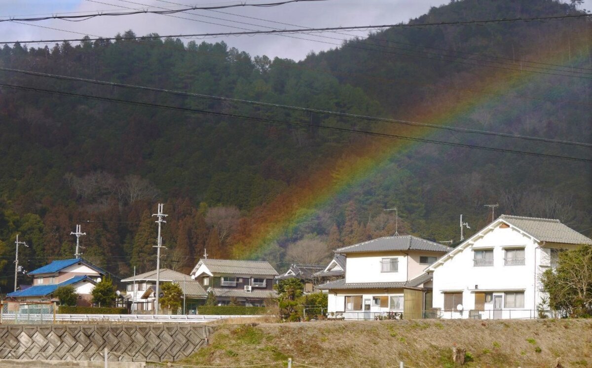 Радуга в феврале. Киносаки