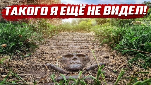 Такого я ещё не видел!