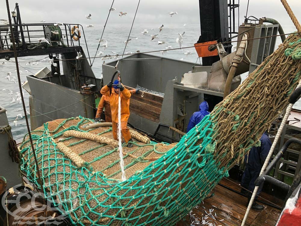 зарплата на рыболовных судах. матрос судовой. зарплата матроса. краболовы норвегии. зарплата на рыболовных судах.