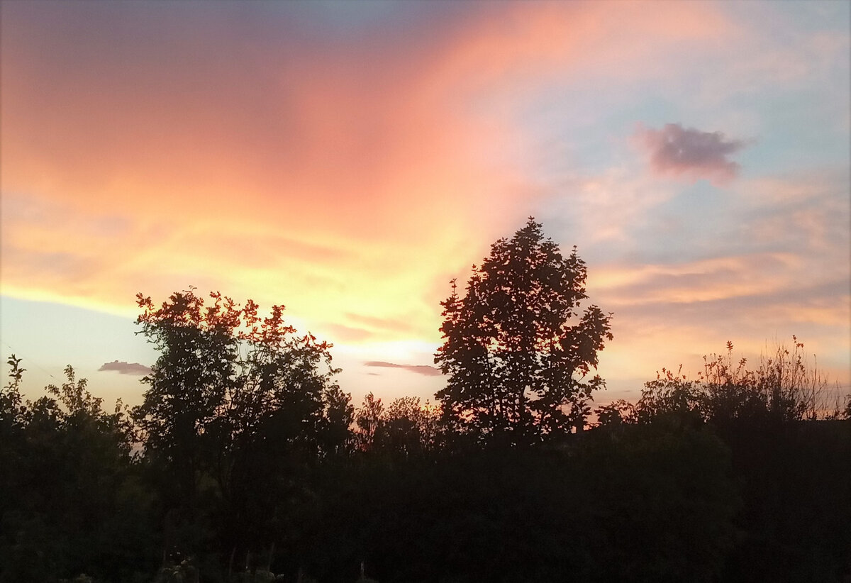 Небо перед рассветом. Фото автора канала.
