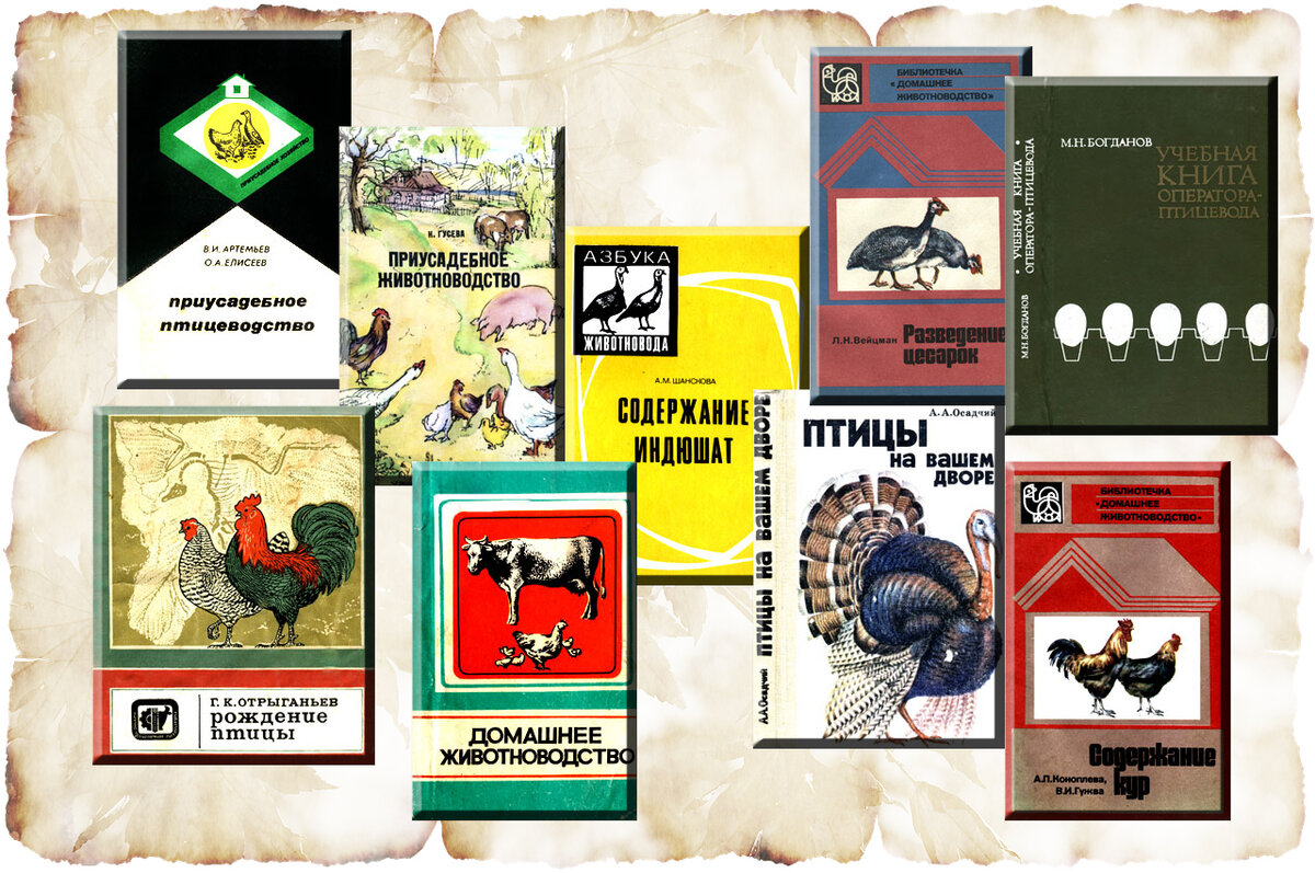 Книги из СССР про птицеводство.