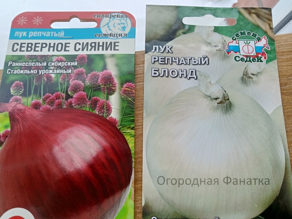 Купила семена репчатого лука двух сортов: Блонд и Северное Сияние. Весовка  чернушки в пачках 1 грамм от Седек и Сибирского Сада | Огородная фанатка |  Дзен