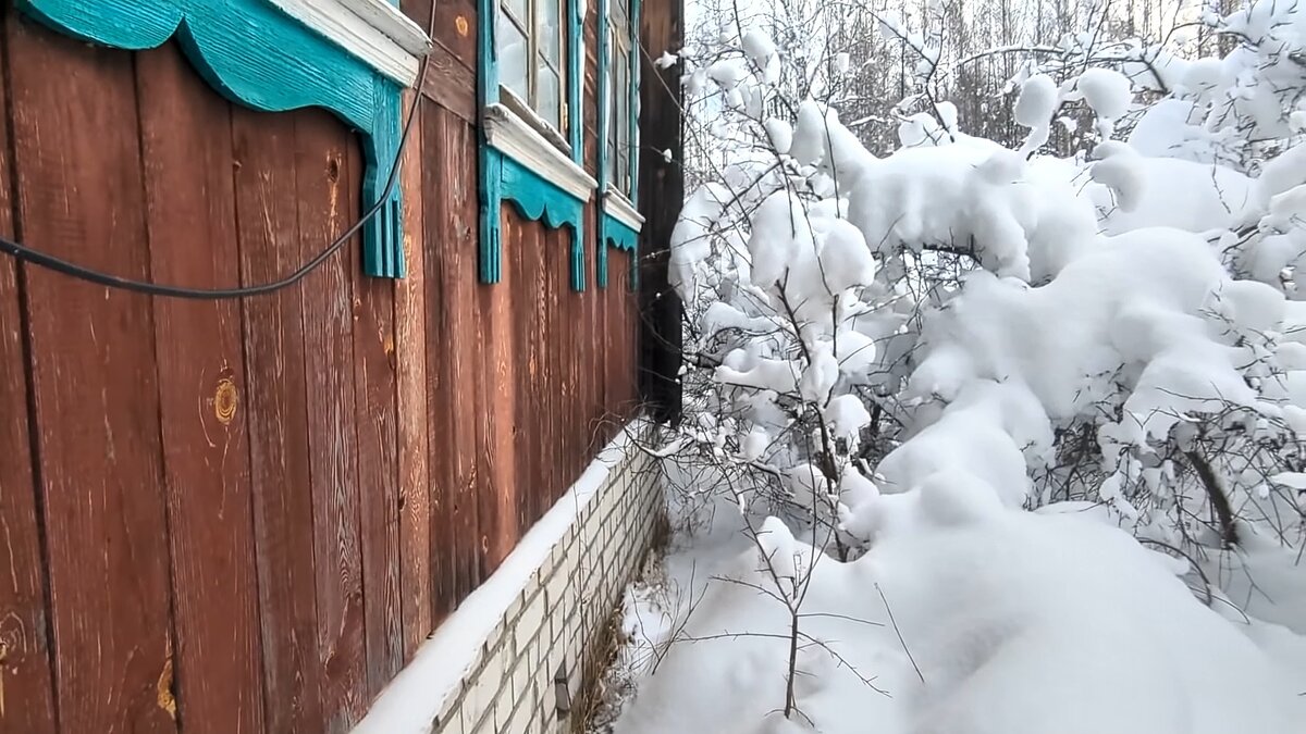 Мой дом в окружении деревьев