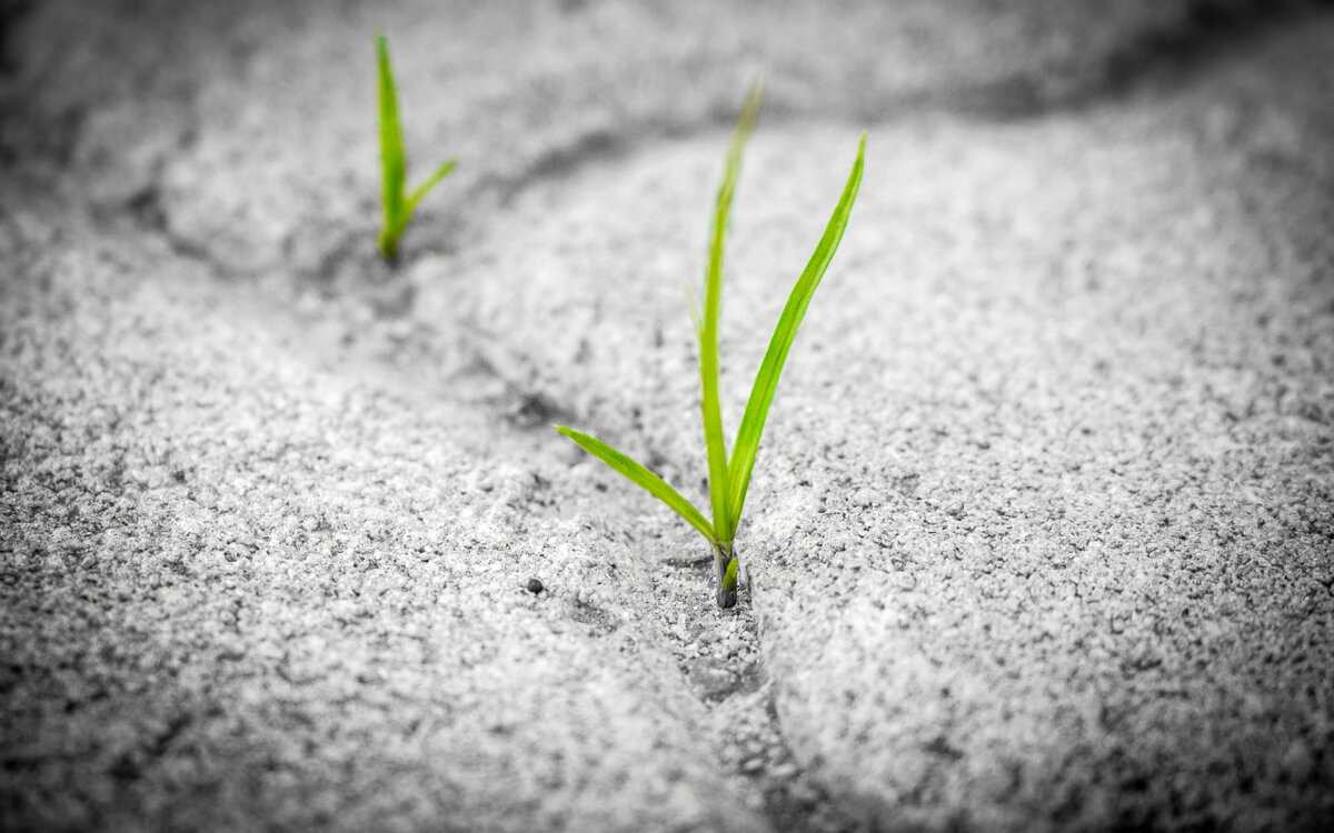 В этот день весна вступала в свои полноправные полномочия. Фото: Pxfuel.com 