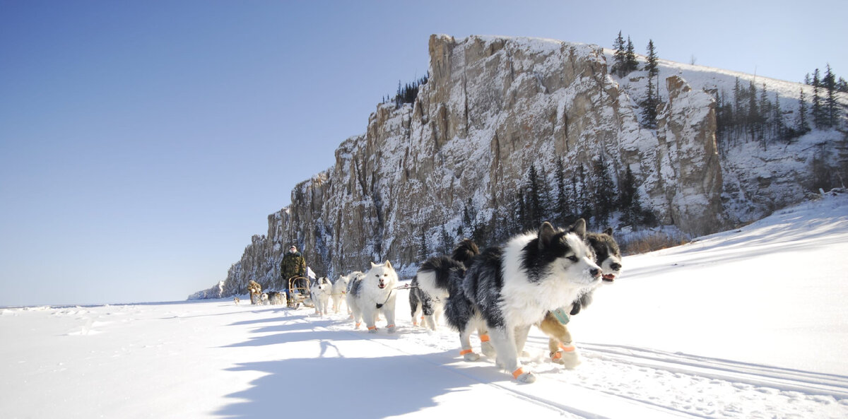 Фото Айара Варламова
