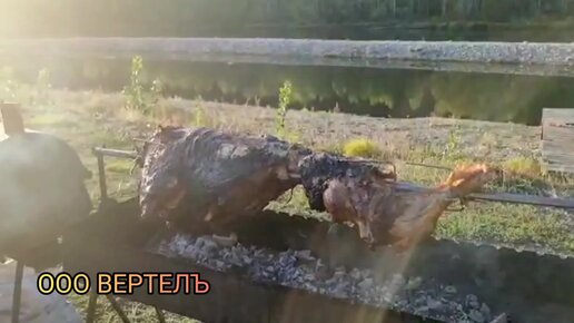 Курица барбекю на вертеле на газовом гриле (видео)