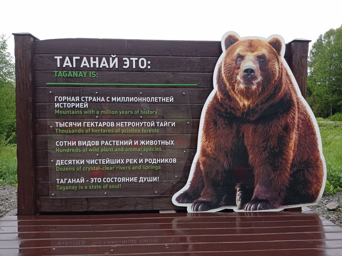 Нас встречает местный медведь)