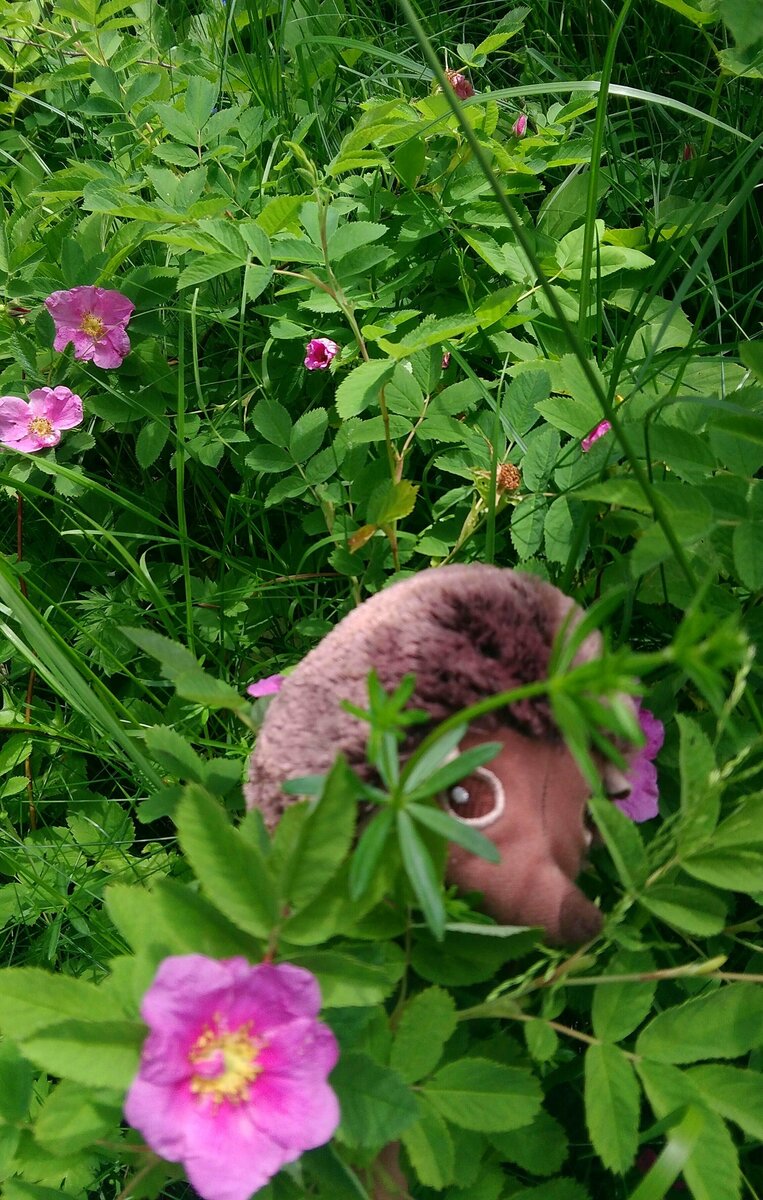 -2
