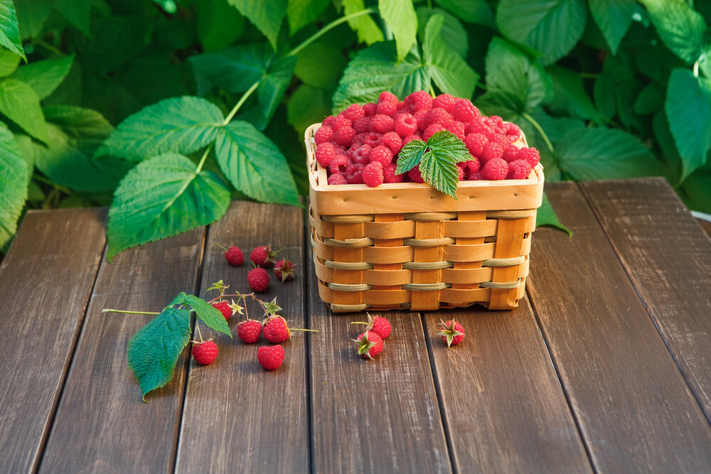 Strawberry Shots