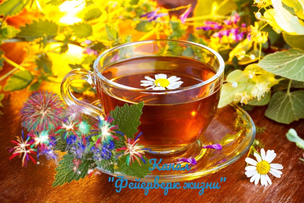 Старинный заговор на отвар трав для бодрости и укрепления здоровья