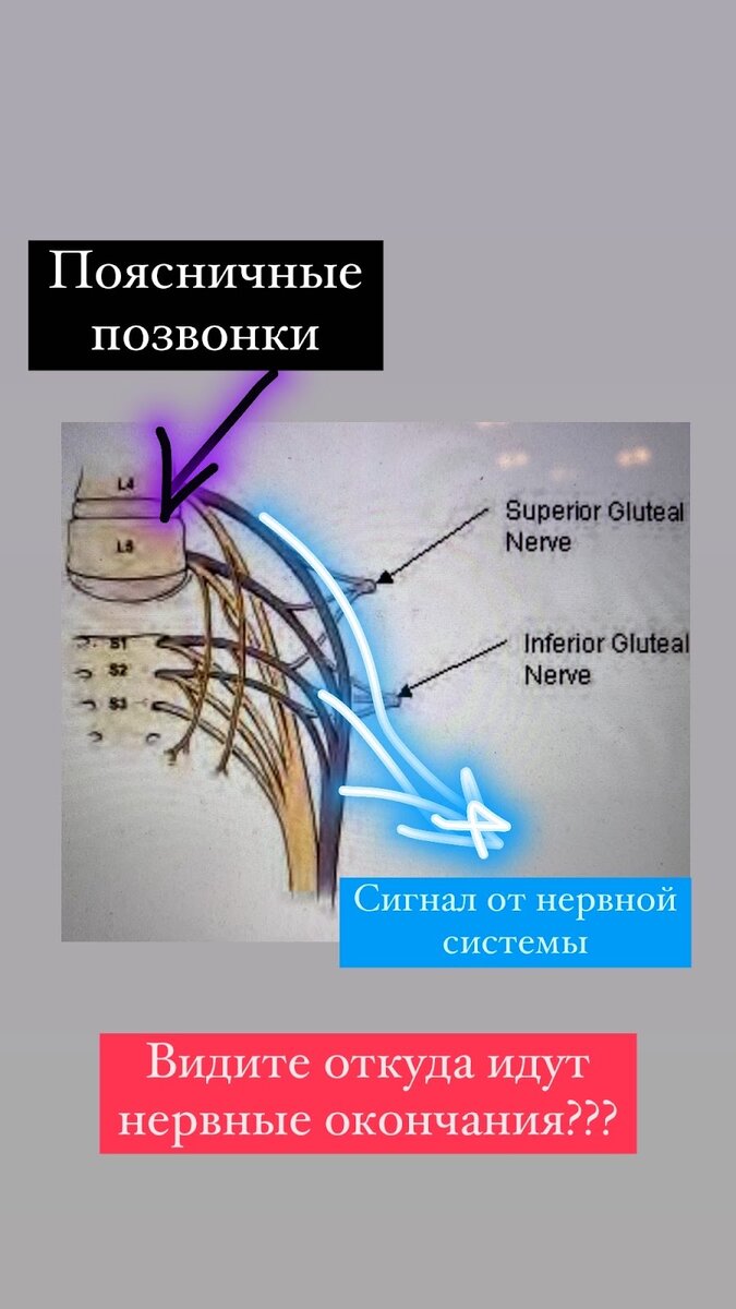 Кровь из заднего прохода