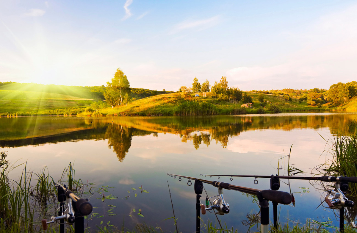 Раздолье для рыбалки  |  Фото из открытых источников