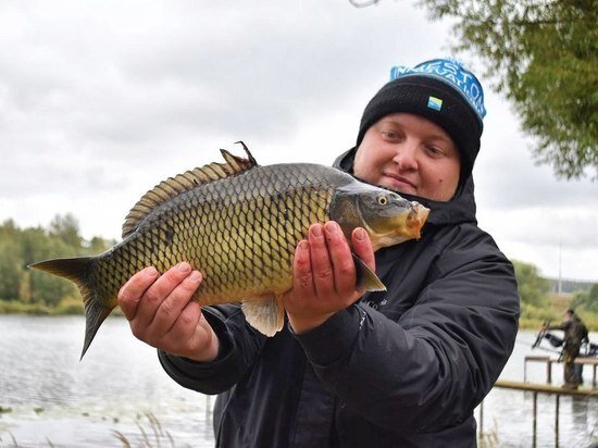     Фото из ТГ-канала администрации г. о. Серпухов