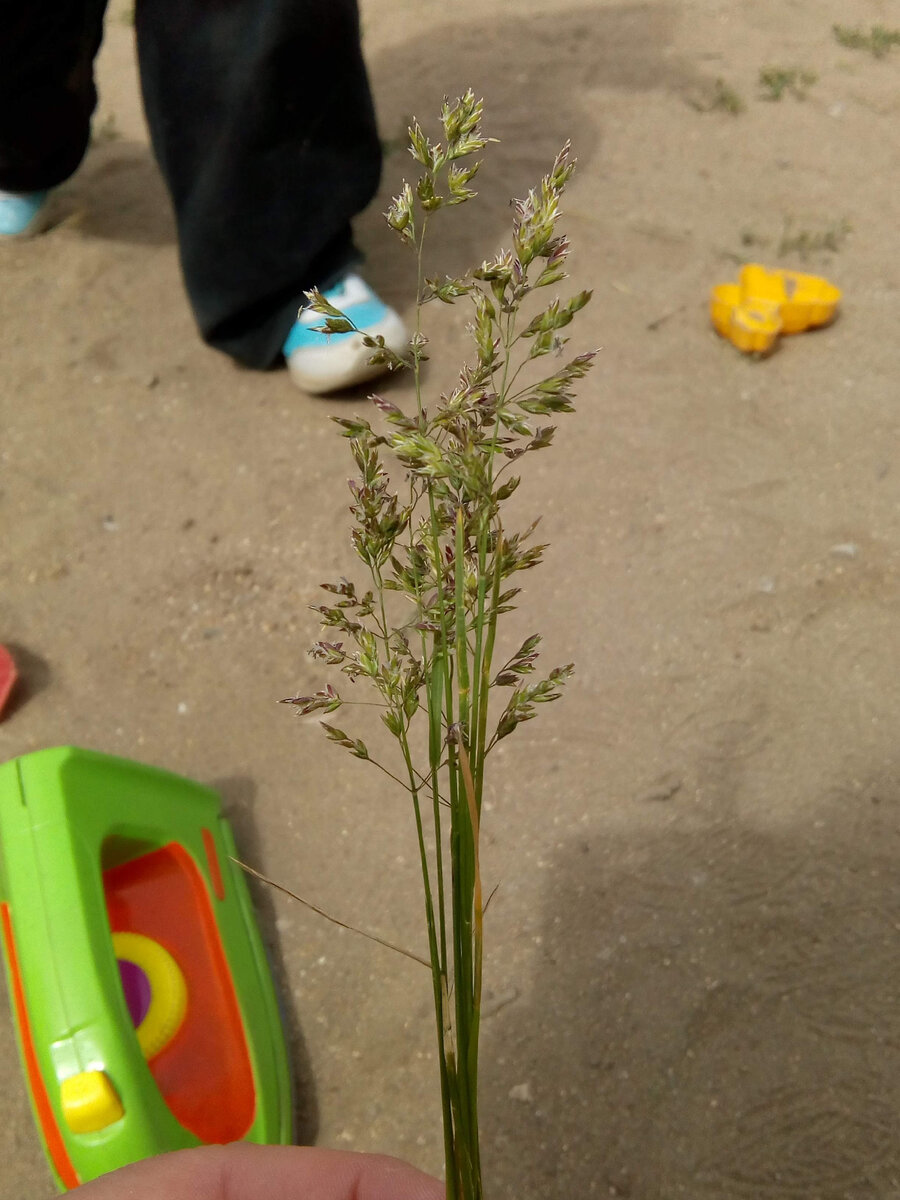 Подарок, сделанный одним из воспитанников своими руками