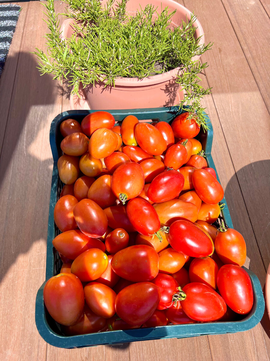 Помидоры в томатной пасте: простой рецепт вкусной закуски