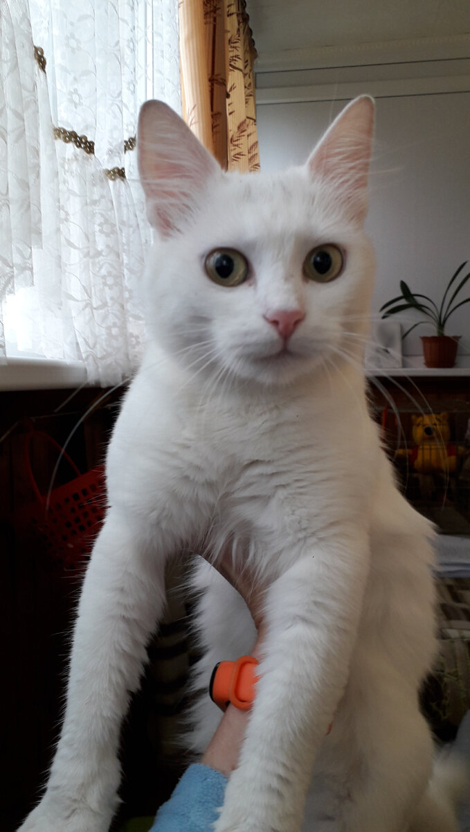 Фото автора, только с поля