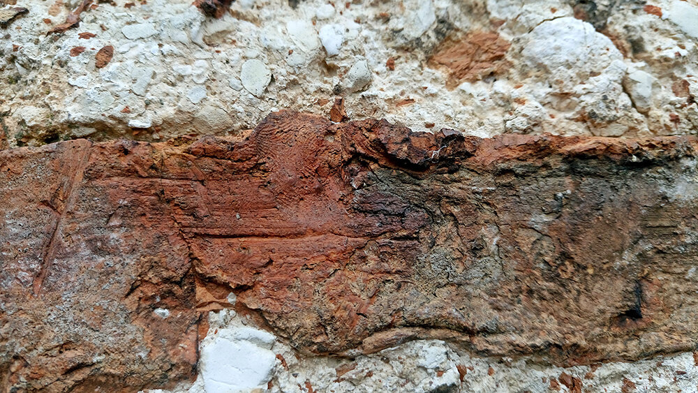    Фото: АиФ/ Владимир Сиверин