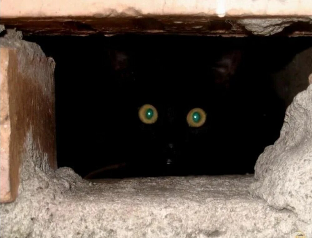 Фото из открытых источников (Интернет)