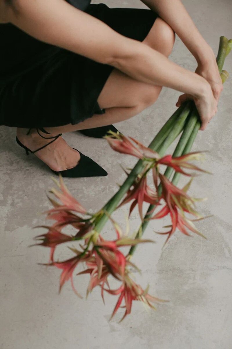 Амарилли Tango