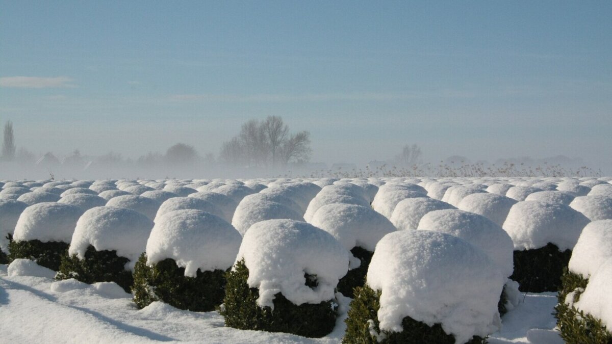 Изображение от wirestock на Freepik