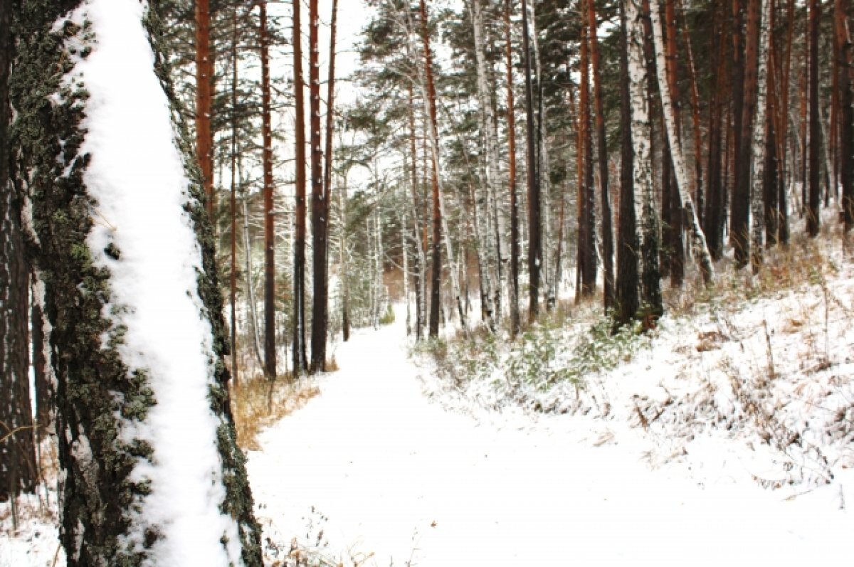    Потепление и снег придут в Свердловскую область