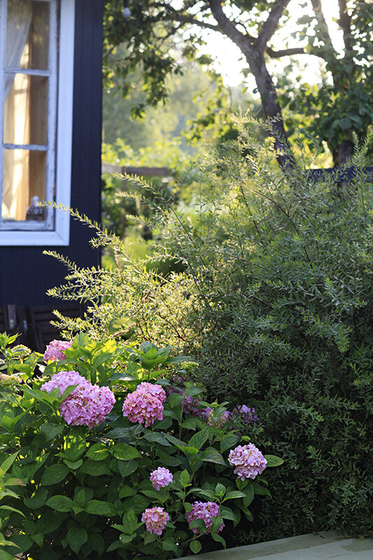 Фотография Ирины Чадеевой. Фотографии можно листать