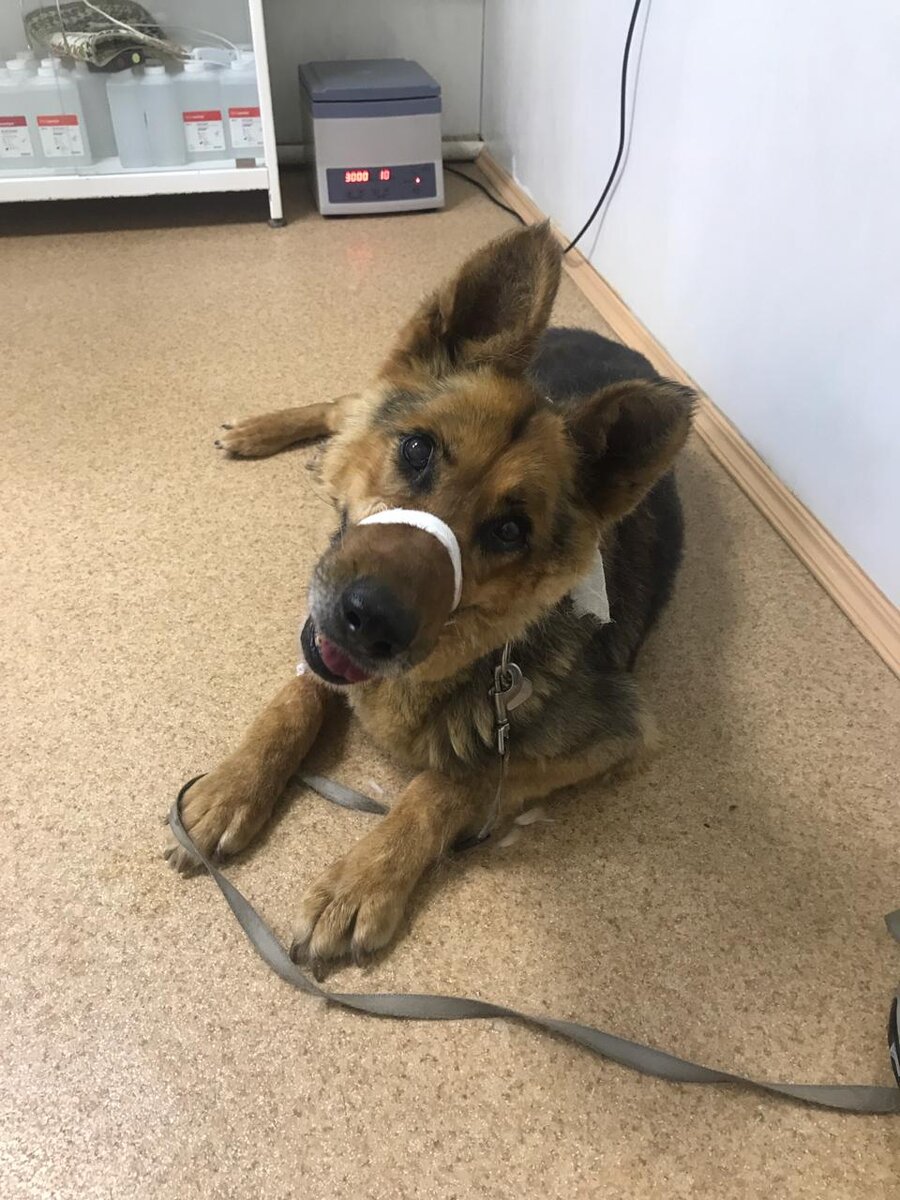 Джесси в клинике