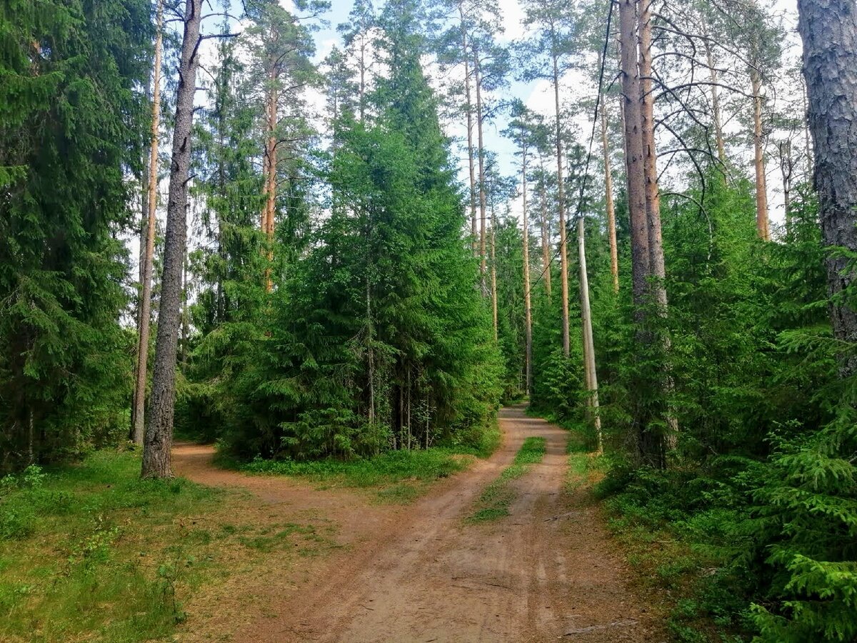 Берег б. Симагинского