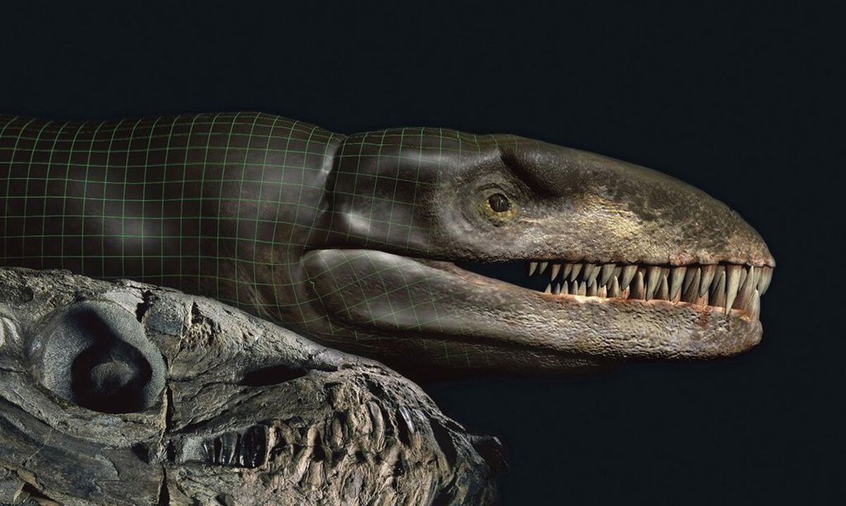 Dakosaurus andiniensis. Правда, похож на Годзиллу? https://f9.pmo.ee