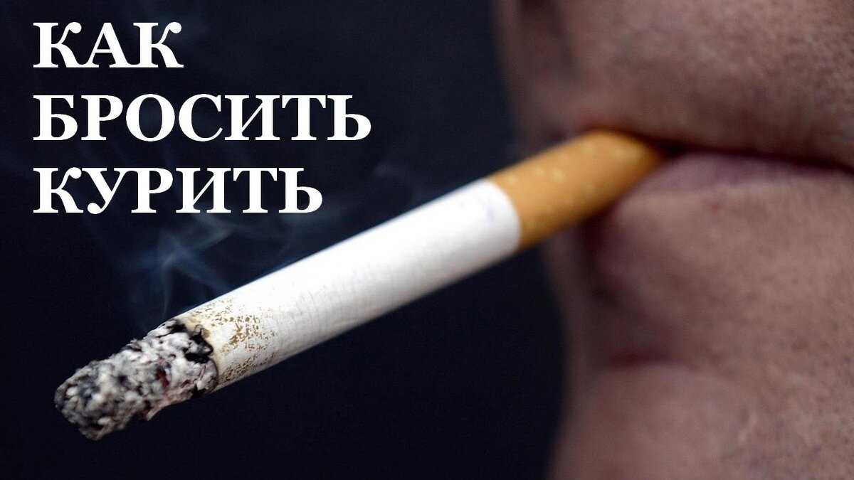 Источник Яндекс Фото