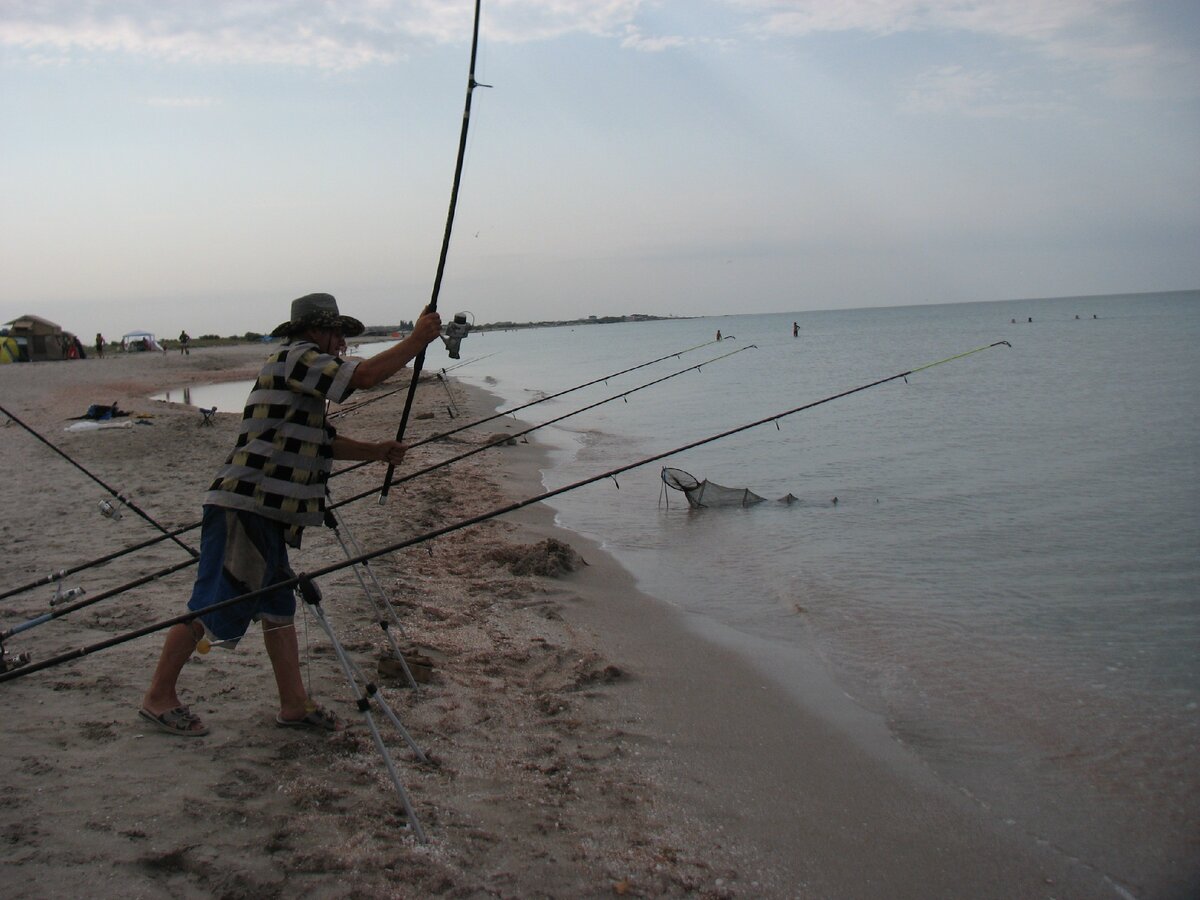 Ловля кефали в море