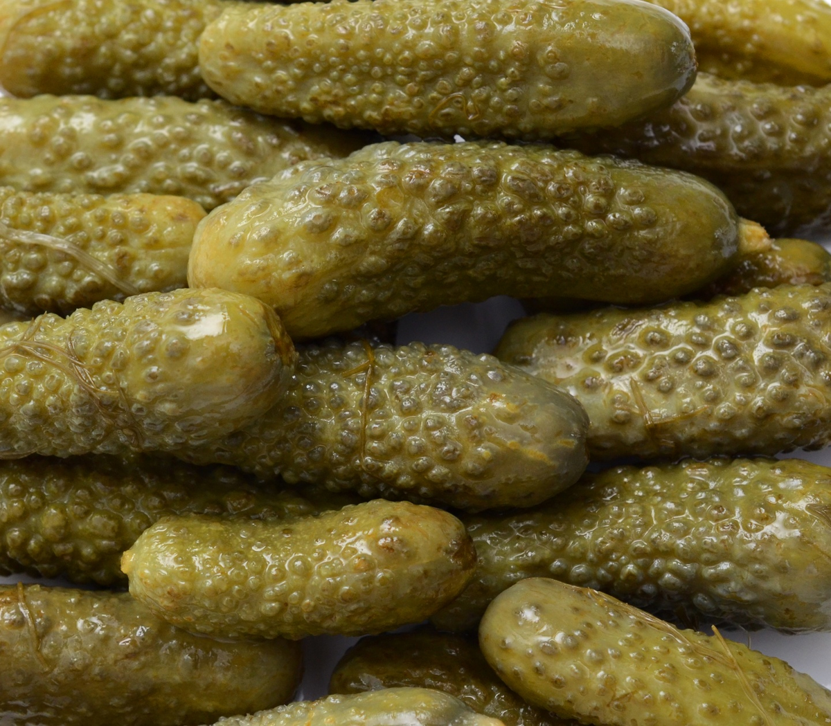 Фото из открытых источников.