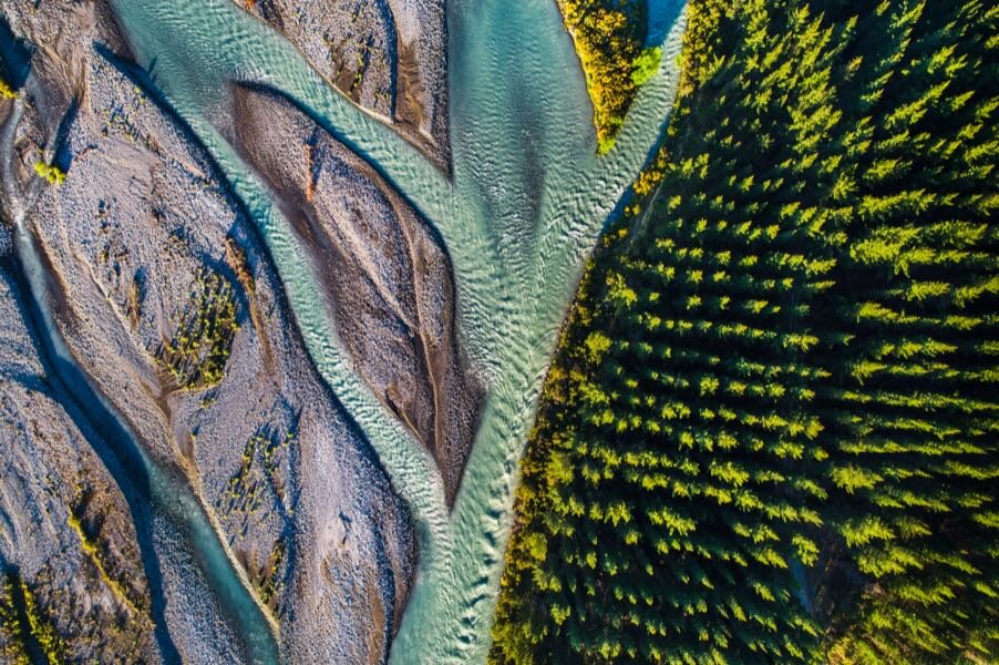Фото: iStock.com
