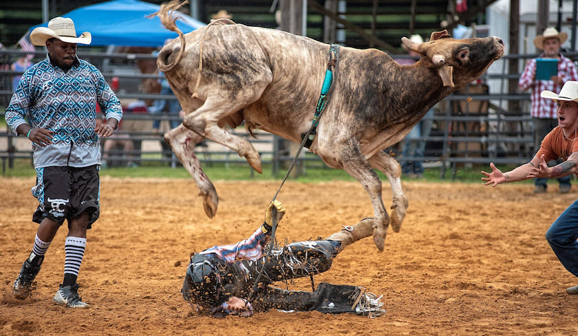 Фото: Timothy Ivy / Getty Images