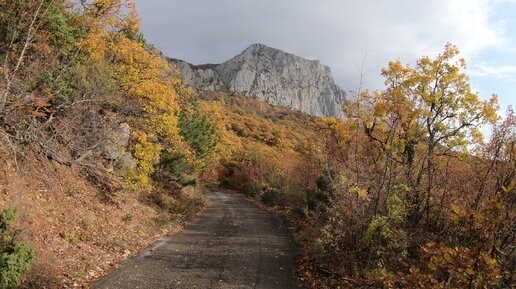 Осень в Крыму дзен