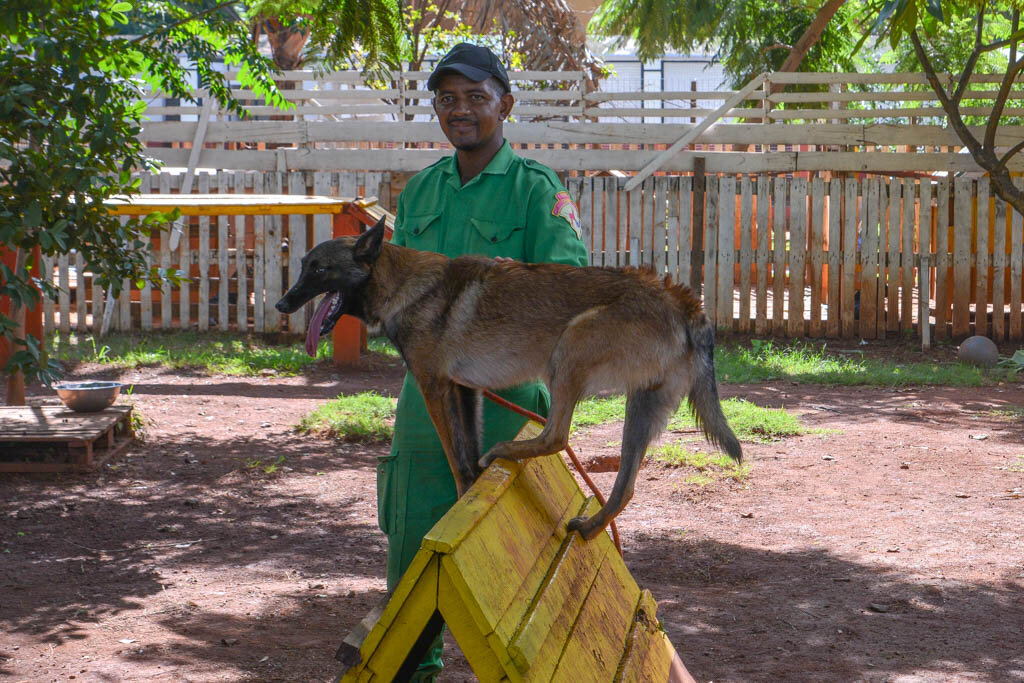 Питомник для бездомных собак в Антананариву (Мадагаскар)